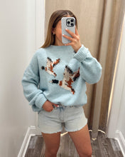 Load image into Gallery viewer, Blue Skies Mallard Sweater
