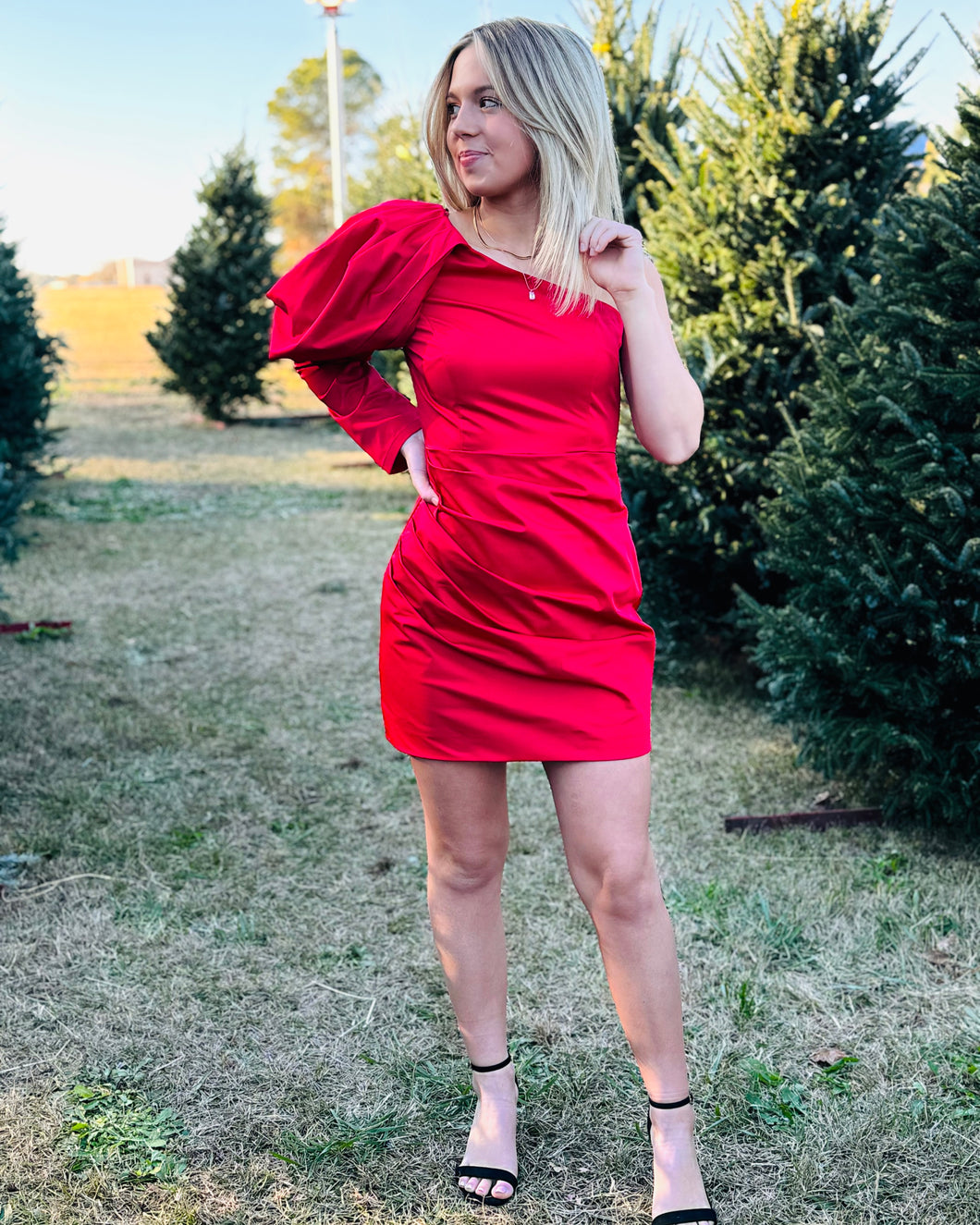 Holiday Fun Mini Dress